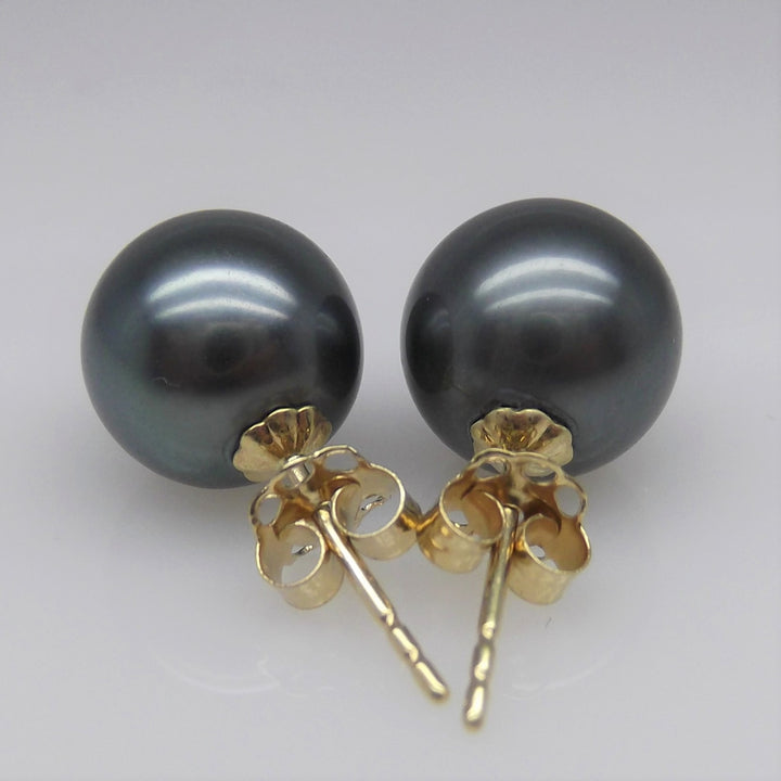AAAA+ 9.5mm Round Black Tahitian Pearl Stud Earring High Luster 14K Solid Yellow Gold