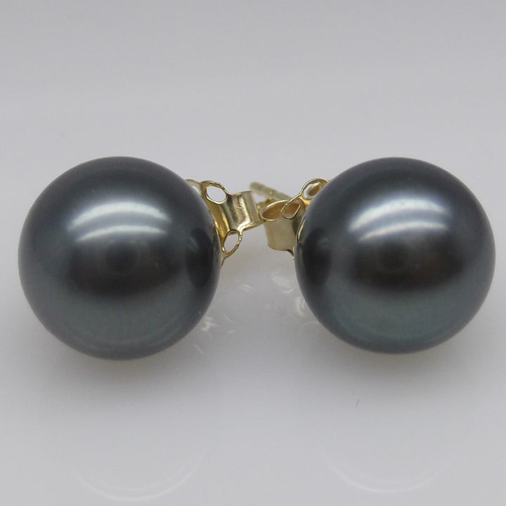 AAAA+ 9.5mm Round Black Tahitian Pearl Stud Earring High Luster 14K Solid Yellow Gold
