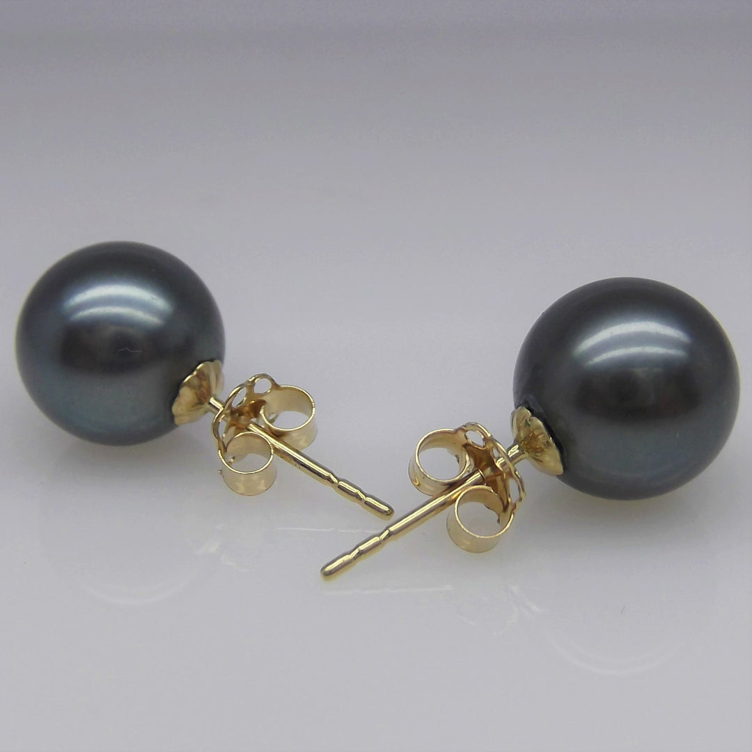 AAAA+ 9.5mm Round Black Tahitian Pearl Stud Earring High Luster 14K Solid Yellow Gold