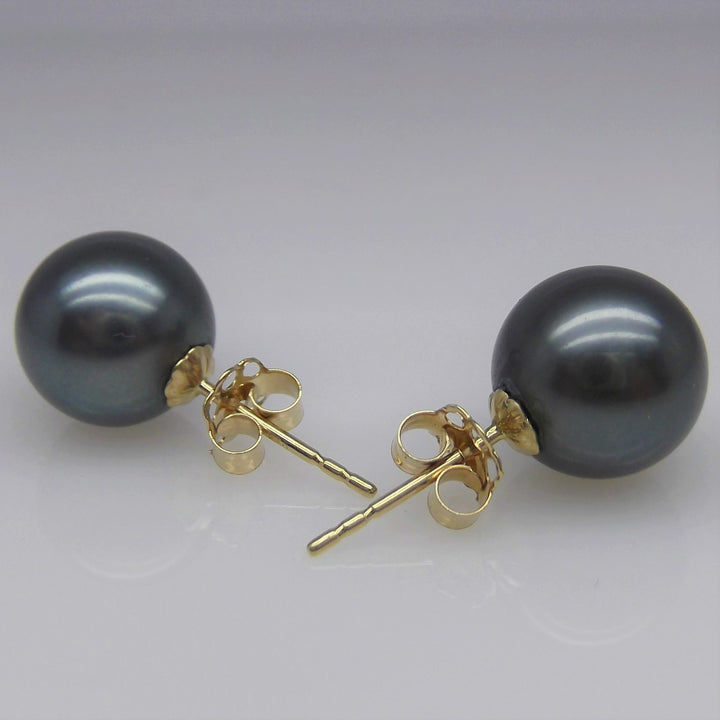 AAAA+ 9.5mm Round Black Tahitian Pearl Stud Earring High Luster 14K Solid Yellow Gold